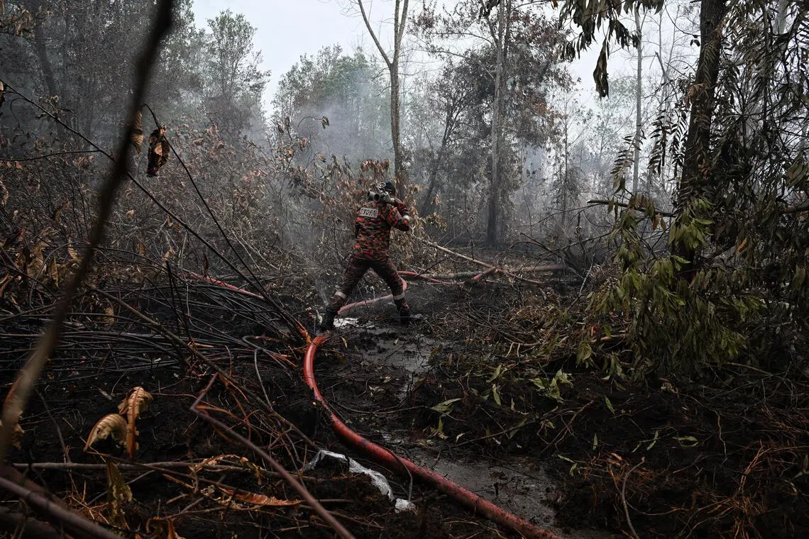 askST: How worrying is Singapore’s haze outlook, and how can you protect yourself?